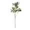 Osmanthus Stem by Ashland®